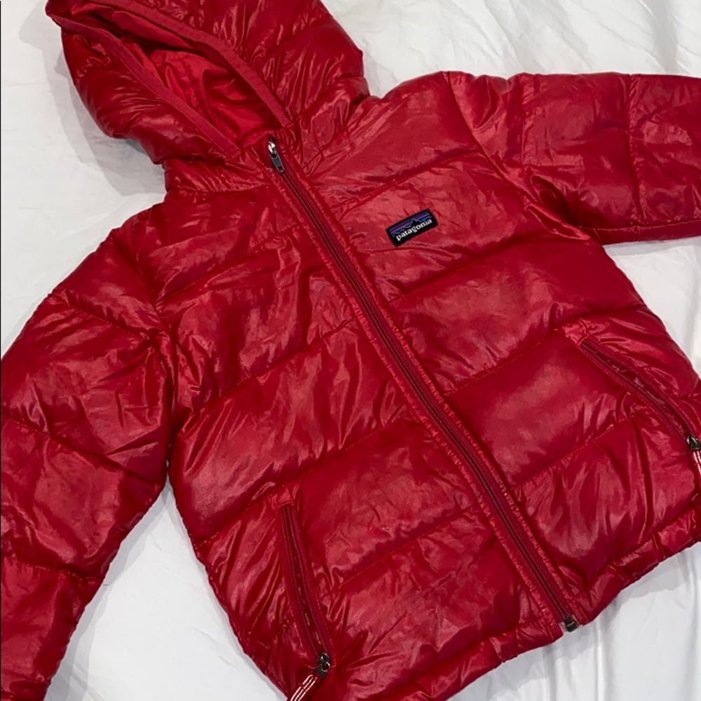 Patagonia Hi-Loft Down Sweater Hooded Jacket